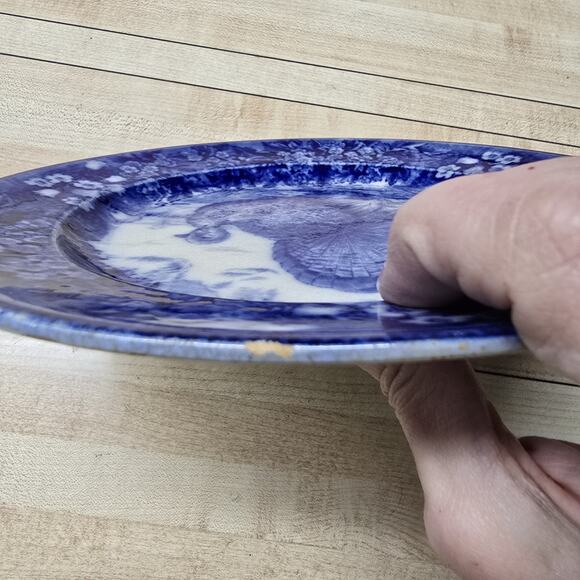 Wedgewood Flow Blue Turkey Plate 8.75" Antique Deep Blue Transferware England - Picture 10 of 12